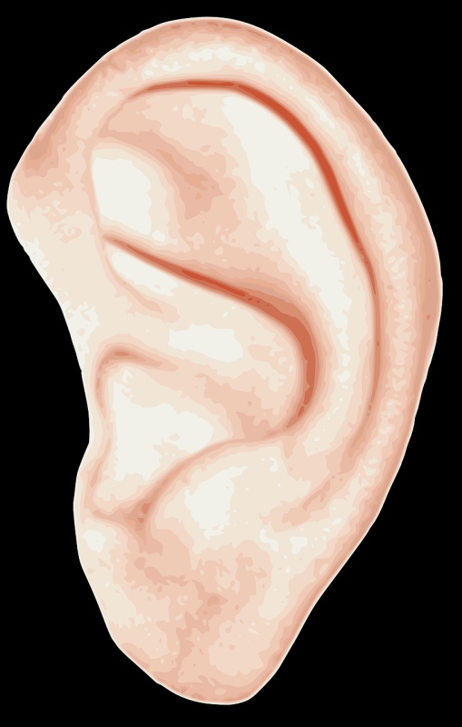 Remote Audiology Assistants for teleaudiology practice Remote Audiology Assistants for teleaudiology practice