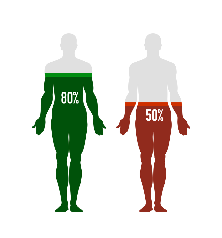 Human body silhouette with energy, immunity or water balance icon, percentage level, chart, creative infographic design, business concept, isolated, vector illustration on white